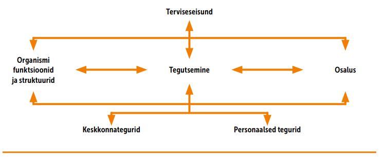 RFK biopsühhosotsiaalne käsitlus