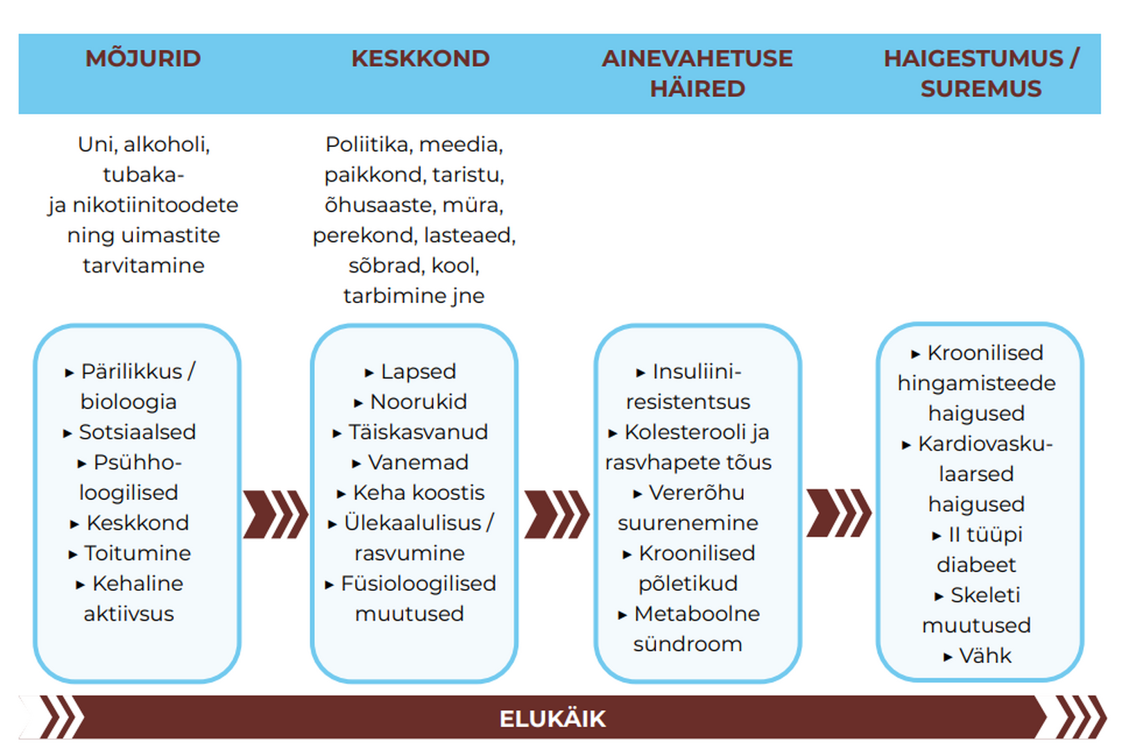 Krooniliste haiguste kujunemine ja sellega seotud hilisem haigestumine