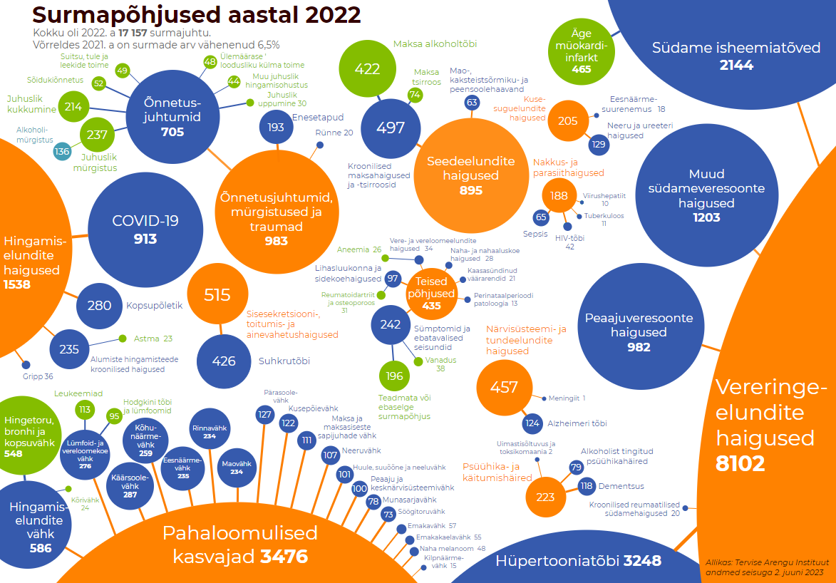 Surmapõhjused 2022