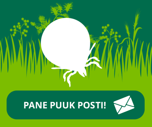 pane puuk posti 20