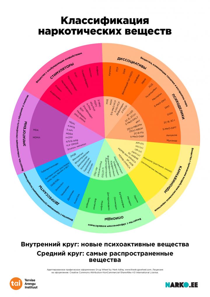 NARKO-Info-Circle-RUS-A4-preview