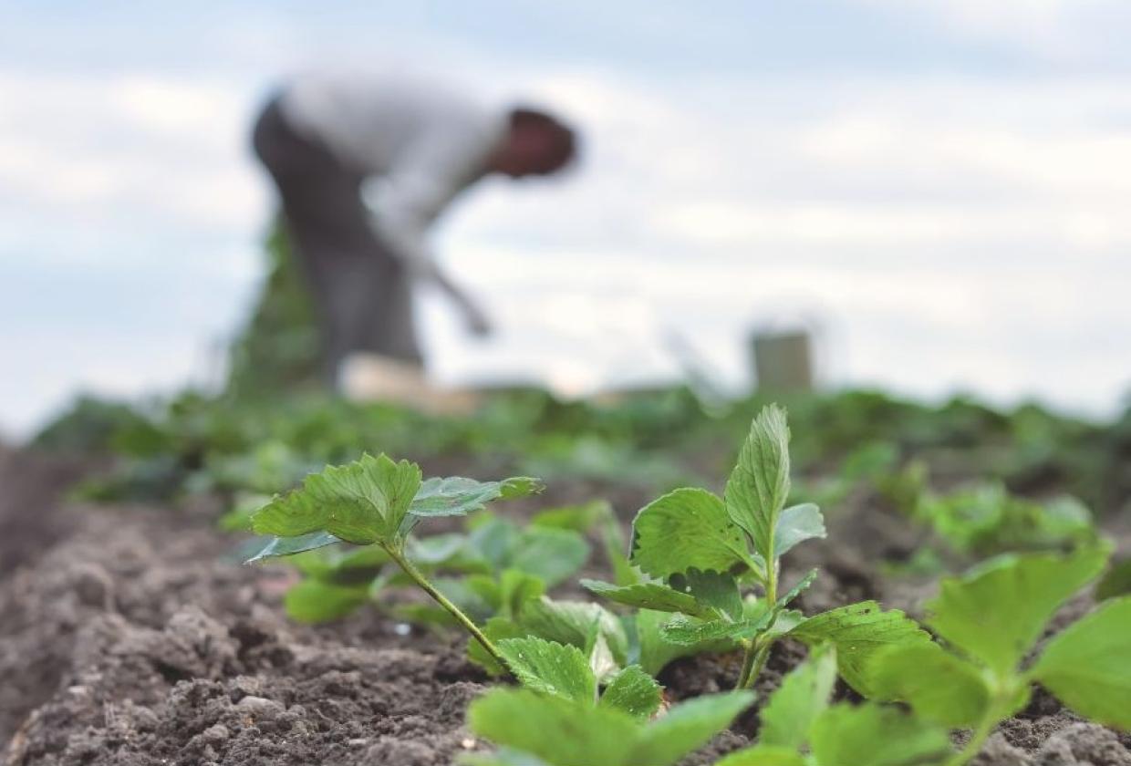 täiskasvanud rahvastiku tervisekäitumise uuring